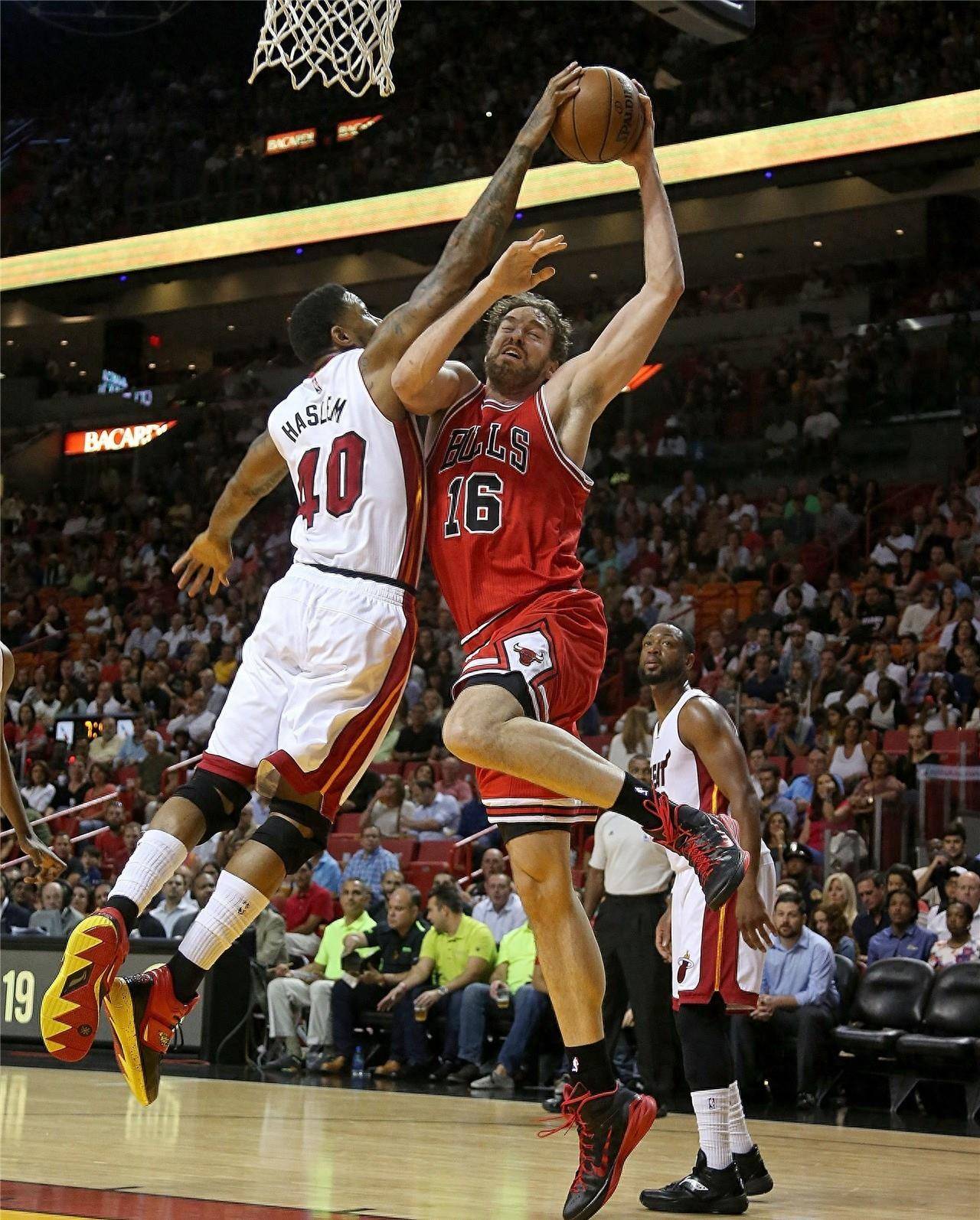 传导极具垂 传导极具垂