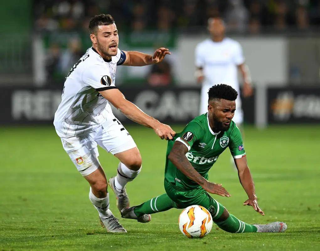 肋部低平球 肋部低平球